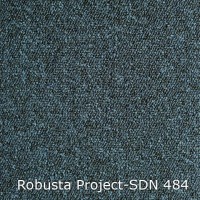 Robusta Project-SDN 484